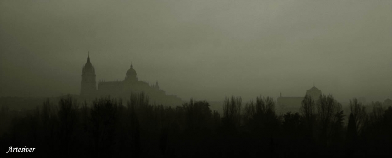 niebla