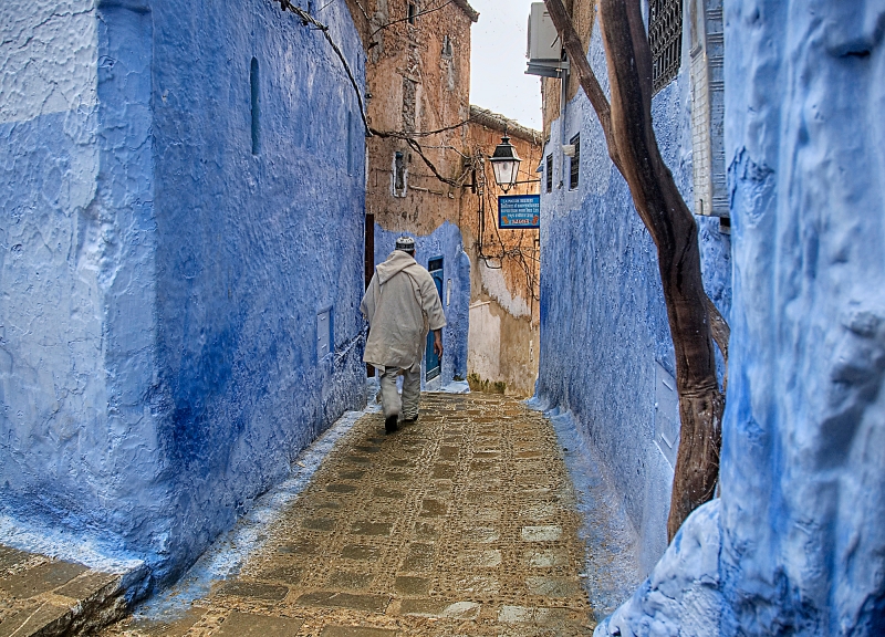 Caminando por frica