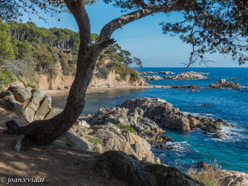 CALA ESTRETA