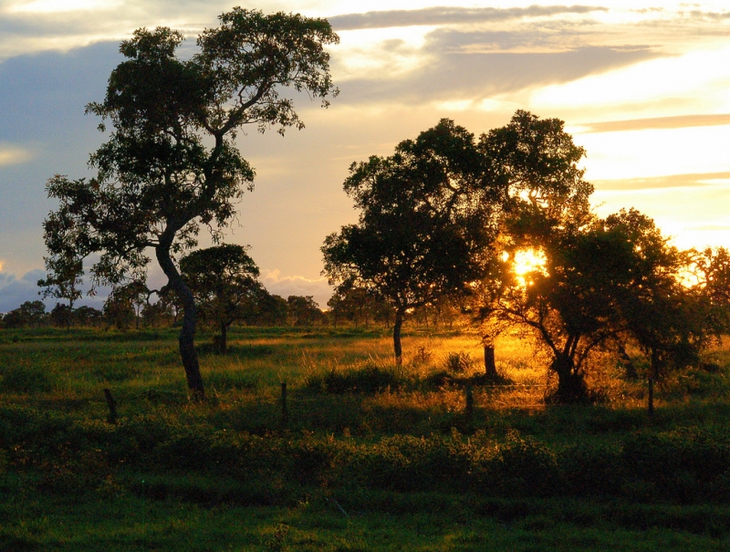 Atardecer 