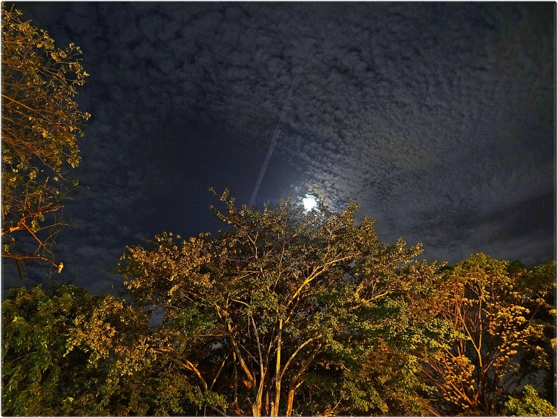 Noche de Luz