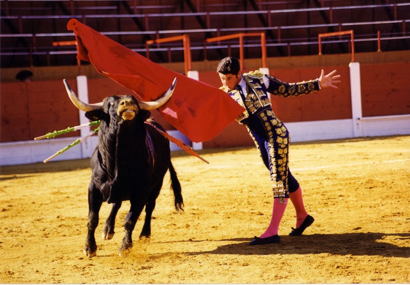 Toros I