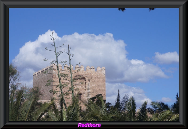 Torren en la muralla de la Alcazaba, junto a palmeras y pitas