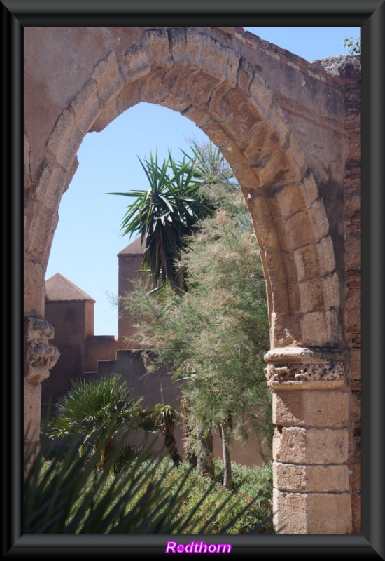 Arco en los jardines