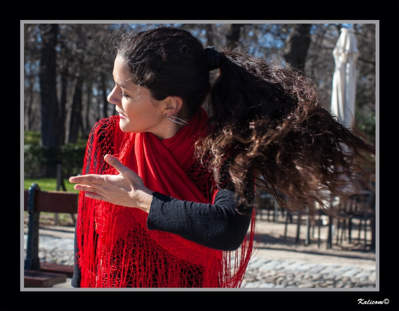 DUENDE FLAMENCO