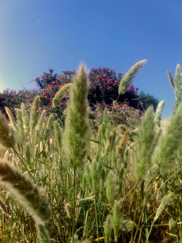naturaleza