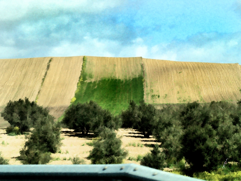 Las tierras de Espaa  ( Verdaderas pinturas.)