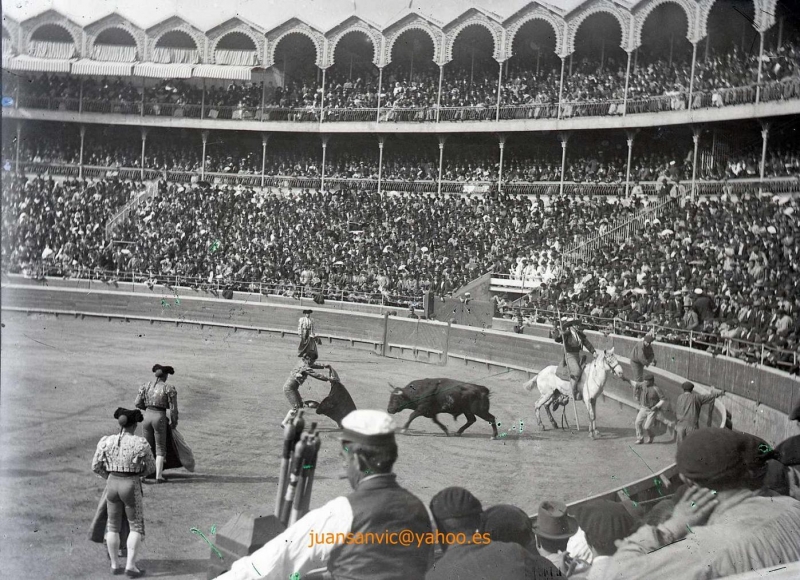 La muerte de un caballo