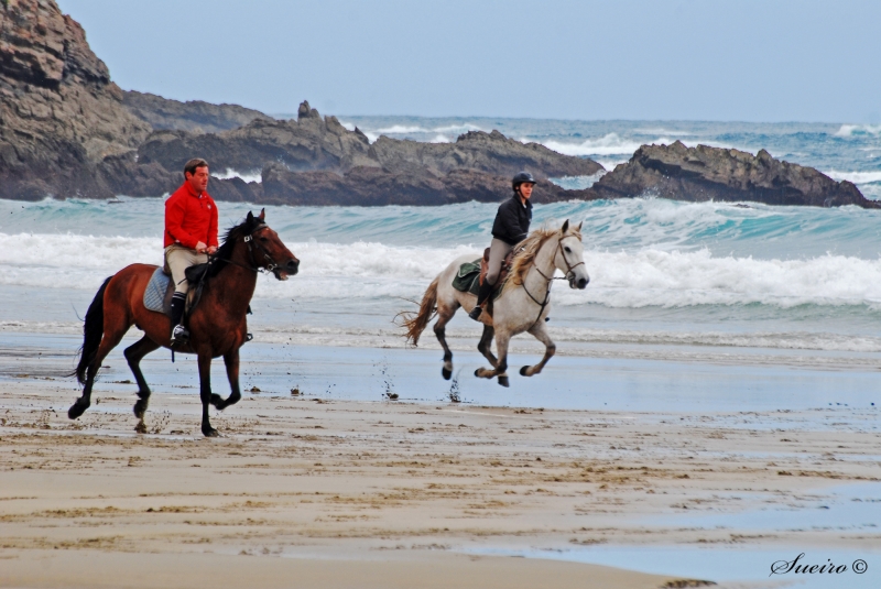 paseo por el mar