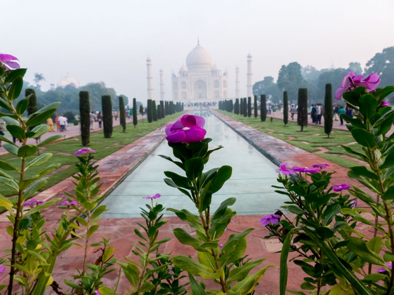 TAJ MAHAL