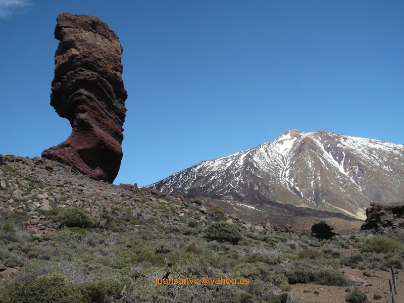 Roque de Garca