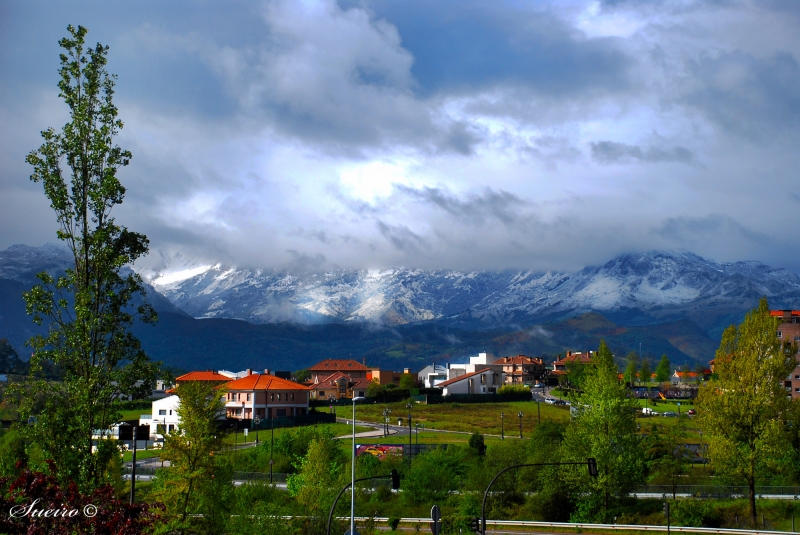 sierra del aramo