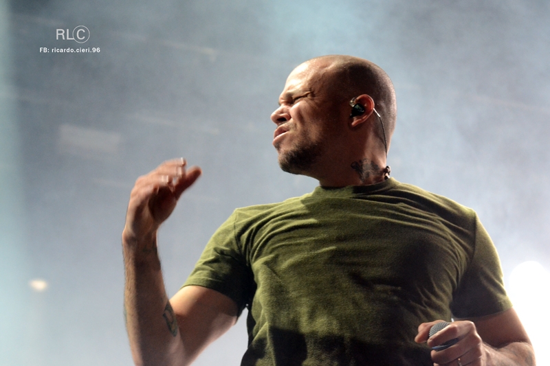 Calle 13