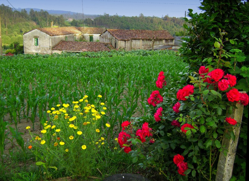 La Aldea Gallega