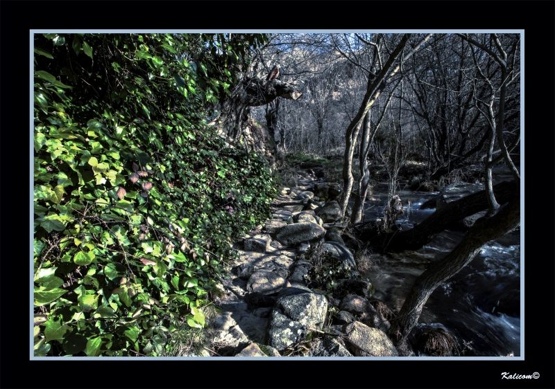 SENDERO TORTUOSO