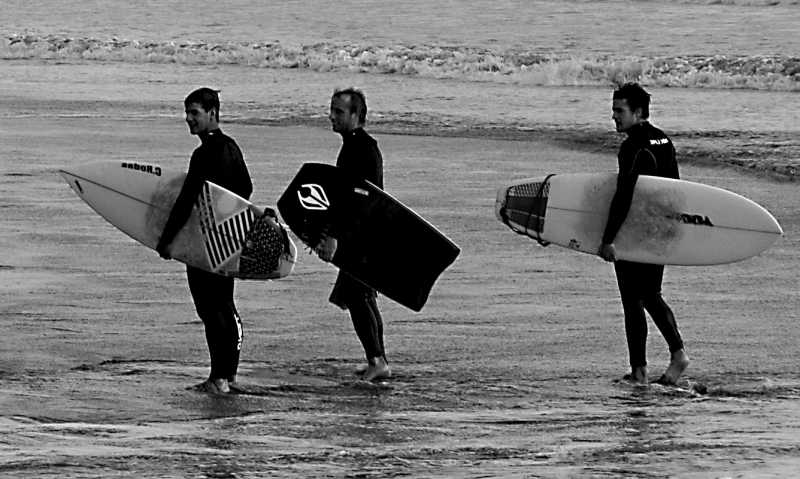 surfers