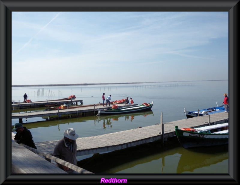 Quieres dar un paso en barca por la Albufera?