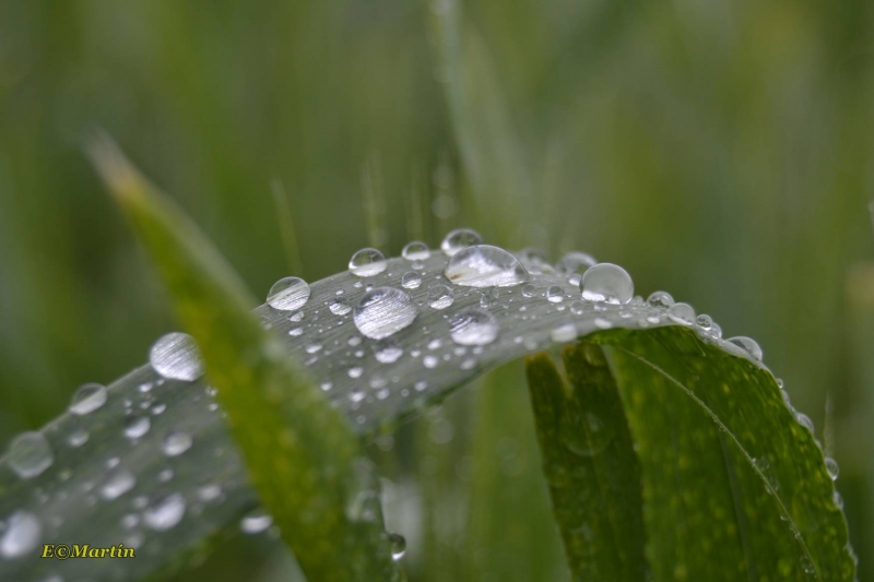 y dej de llover...