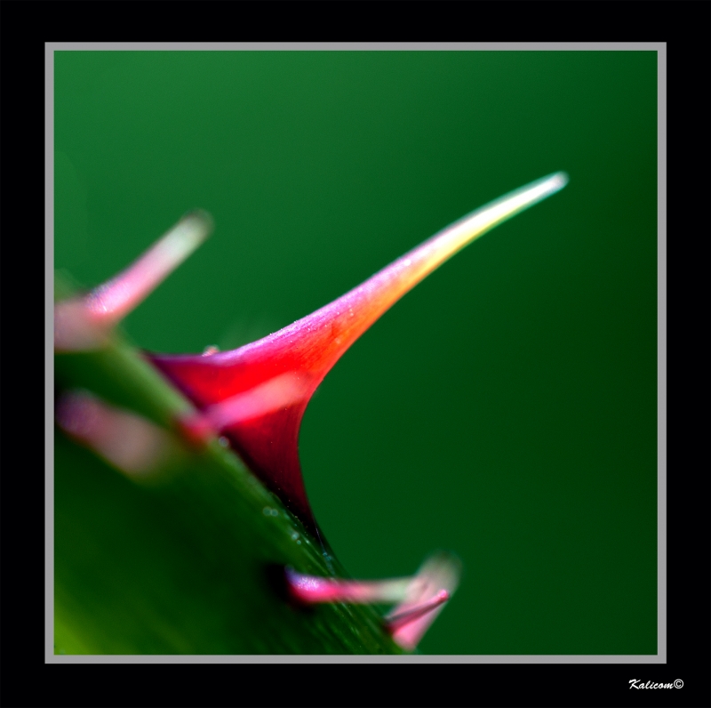 ESPINING