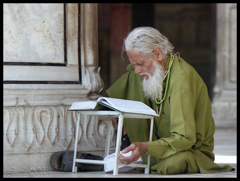 Lectura del Corn