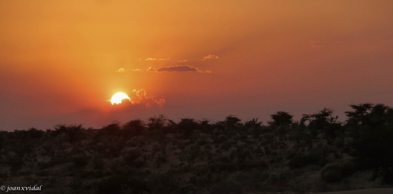 ocaso en el desierto del Thar