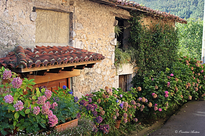 Casa jardn asturiana