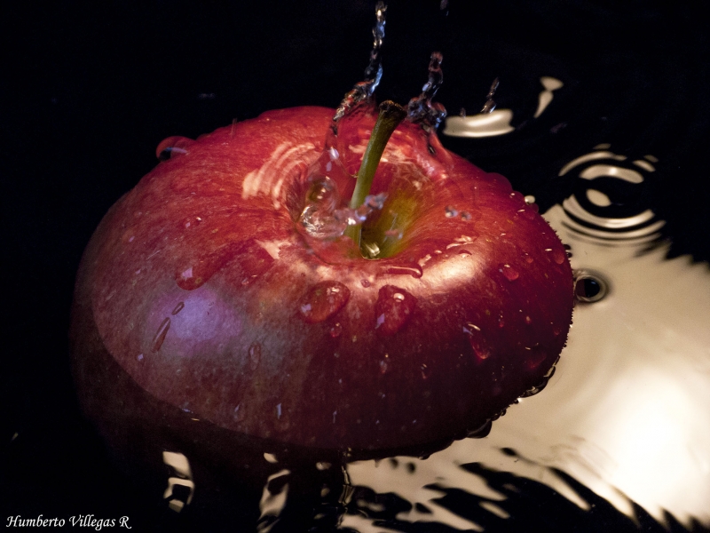 Manzana en el agua.