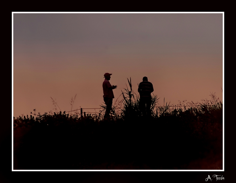 Siluetas al amanecer