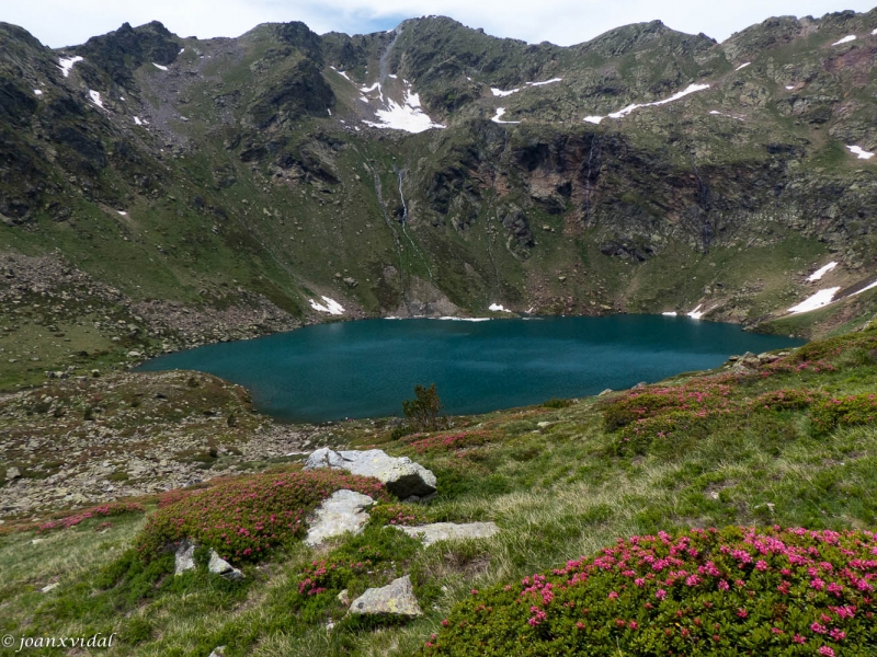 estany de ms amunt