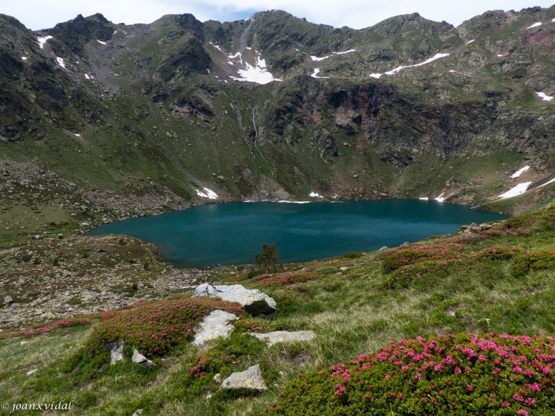 estany de ms amunt