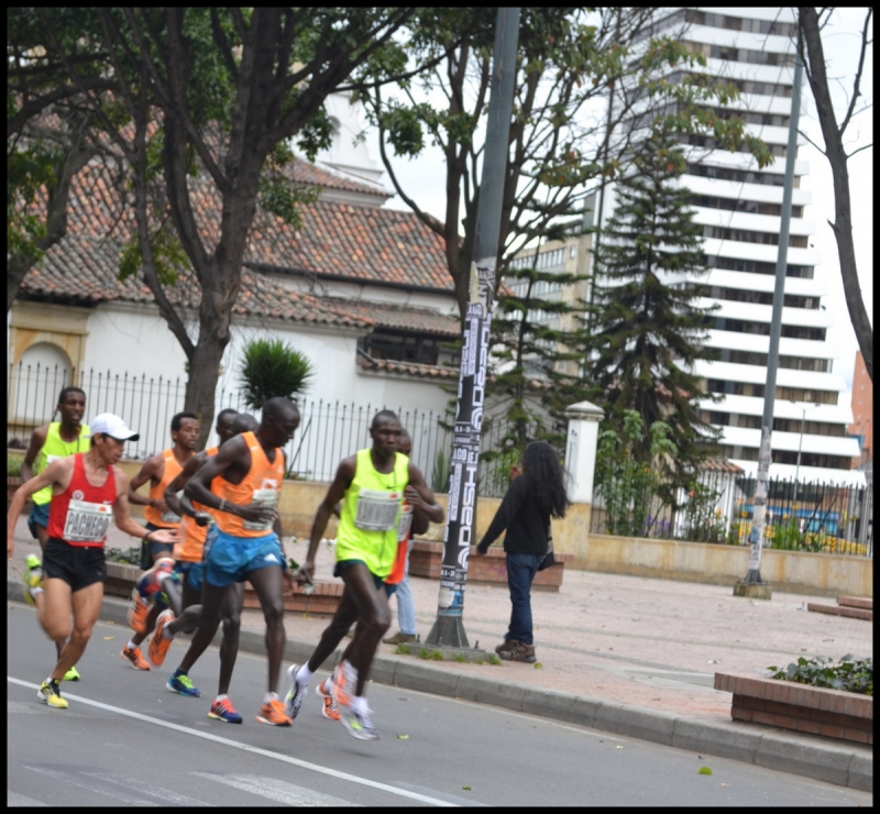 MEDIA MARATON 2014 VARONES