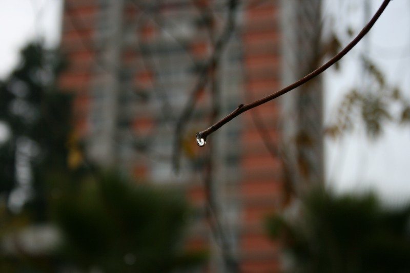 gotas de lluvia