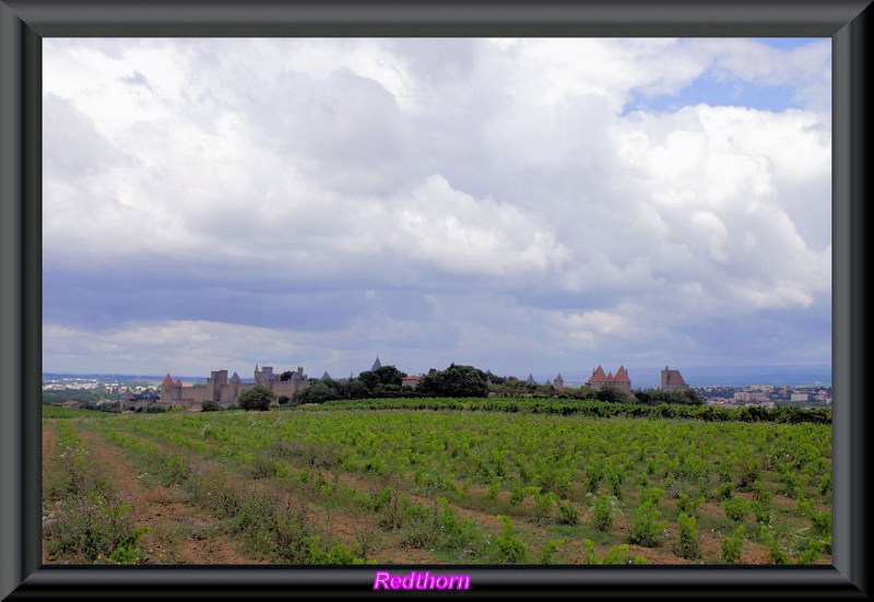 Vias ante la ciudad amurallada de Carcassone