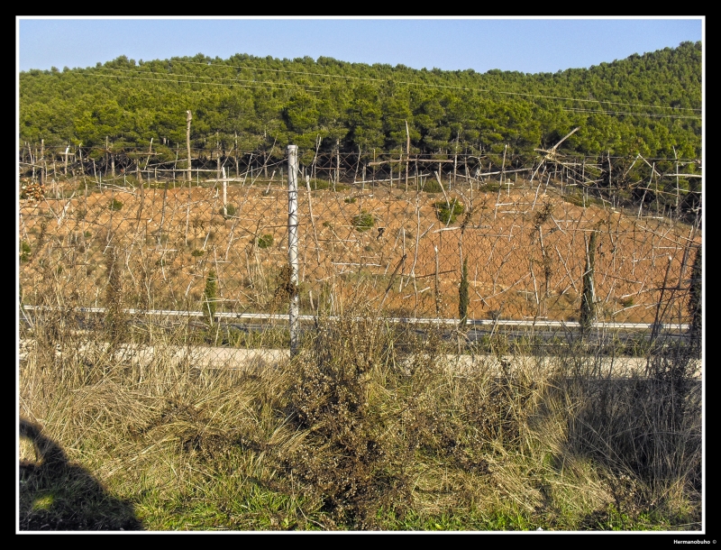 Cruces en el Camino de Santiago