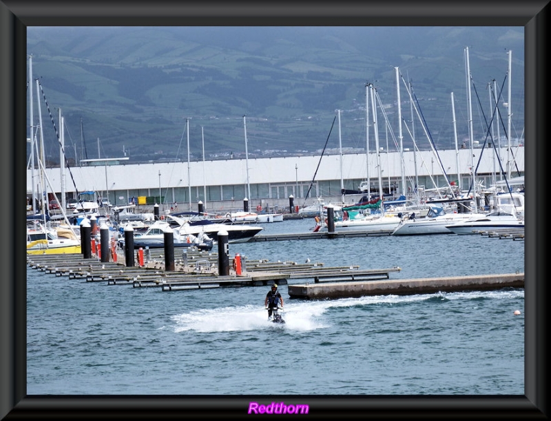 Prctica de deportes acuticos en el puerto