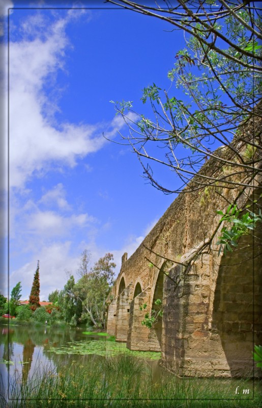PUENTE ROMANO SOBRE RIO GVORA II