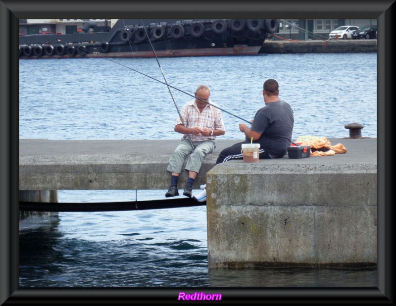 Estrategias de pesca