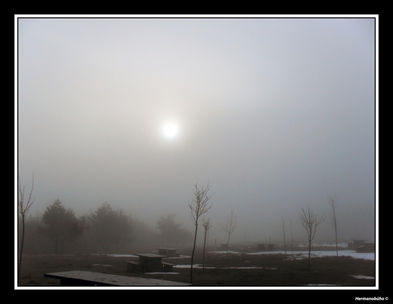 Sol en la niebla