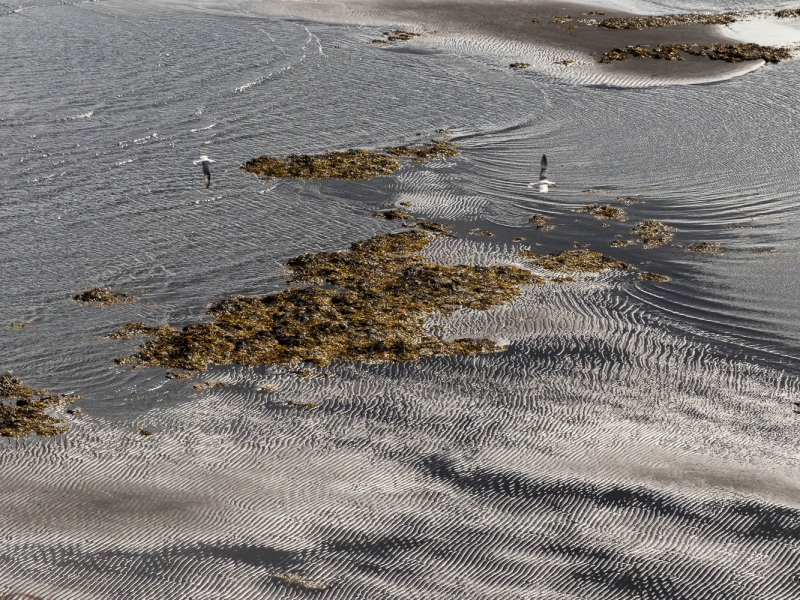 estuario de Sigridarstadir