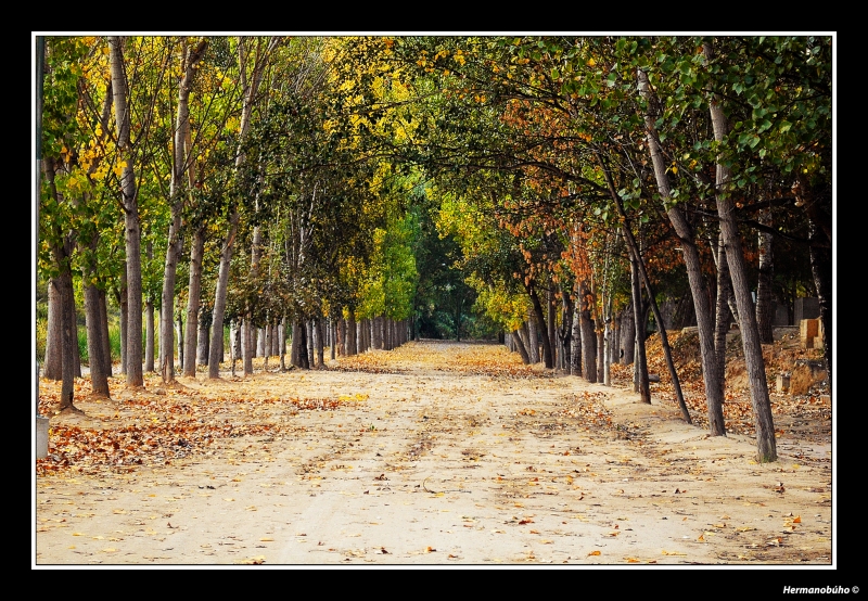 Paseo de Otoo