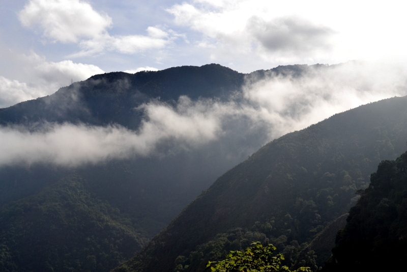 PAISAJE 24