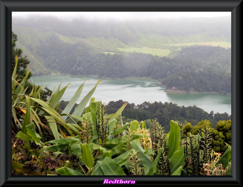 Lagoas entre la niebla