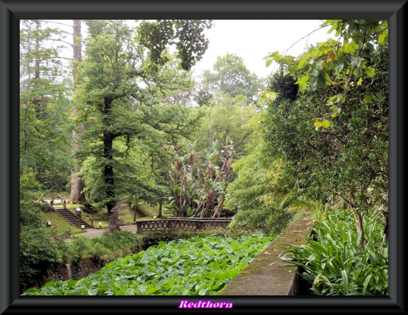 Jardines Terra Nostra