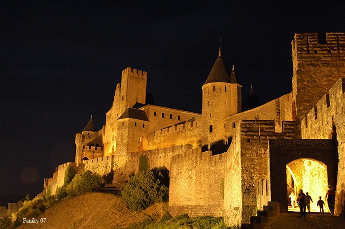 Carcassone III