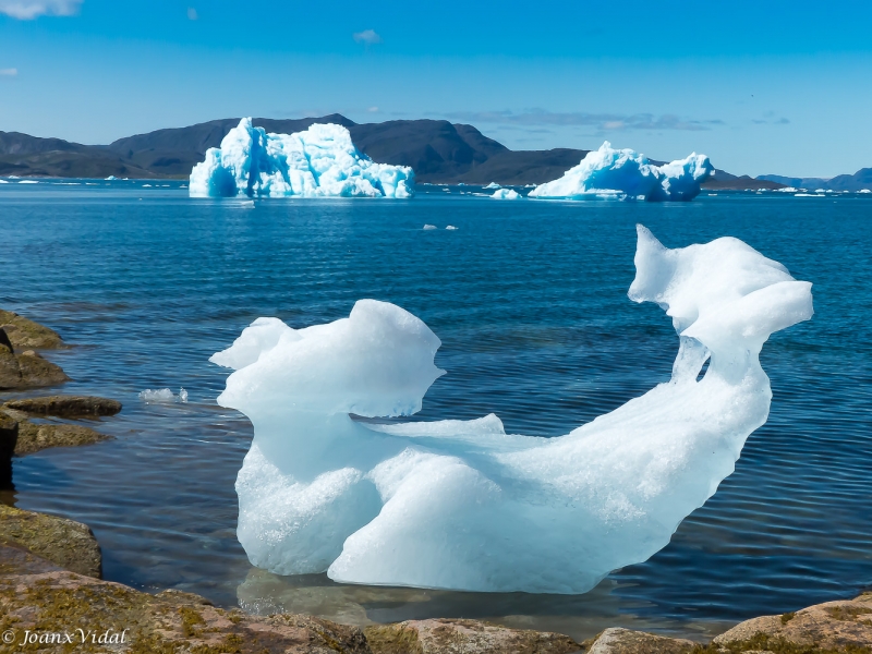 Icebergs a la deriva