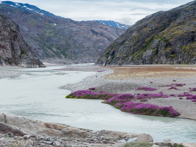 valle de las flores