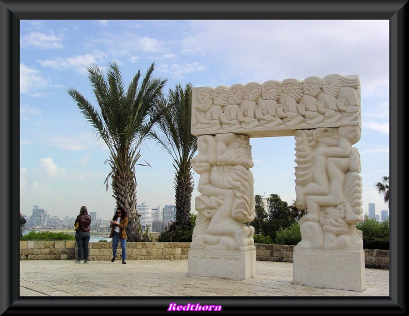 El arco y las palmeras