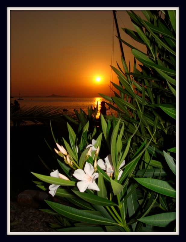 atardecer