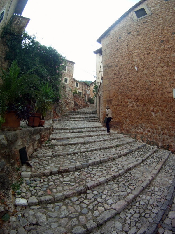 Paseando 2