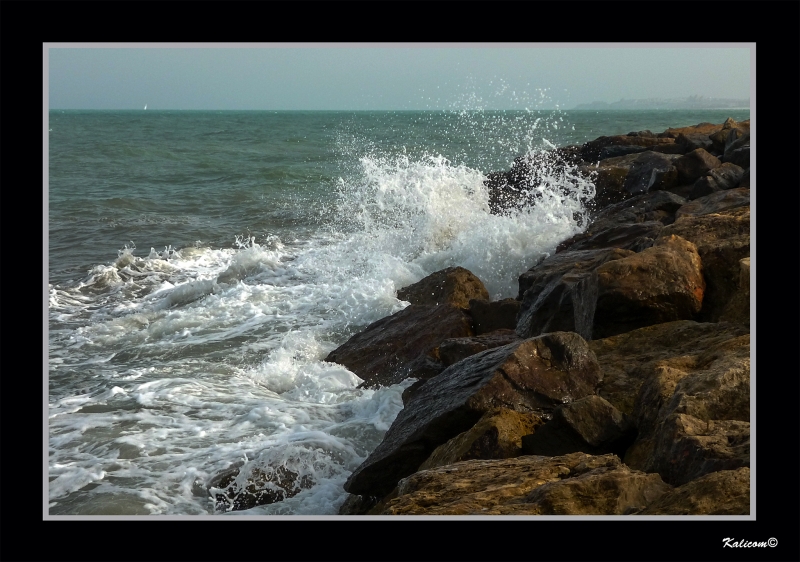 DESCORCHANDO EL MAR